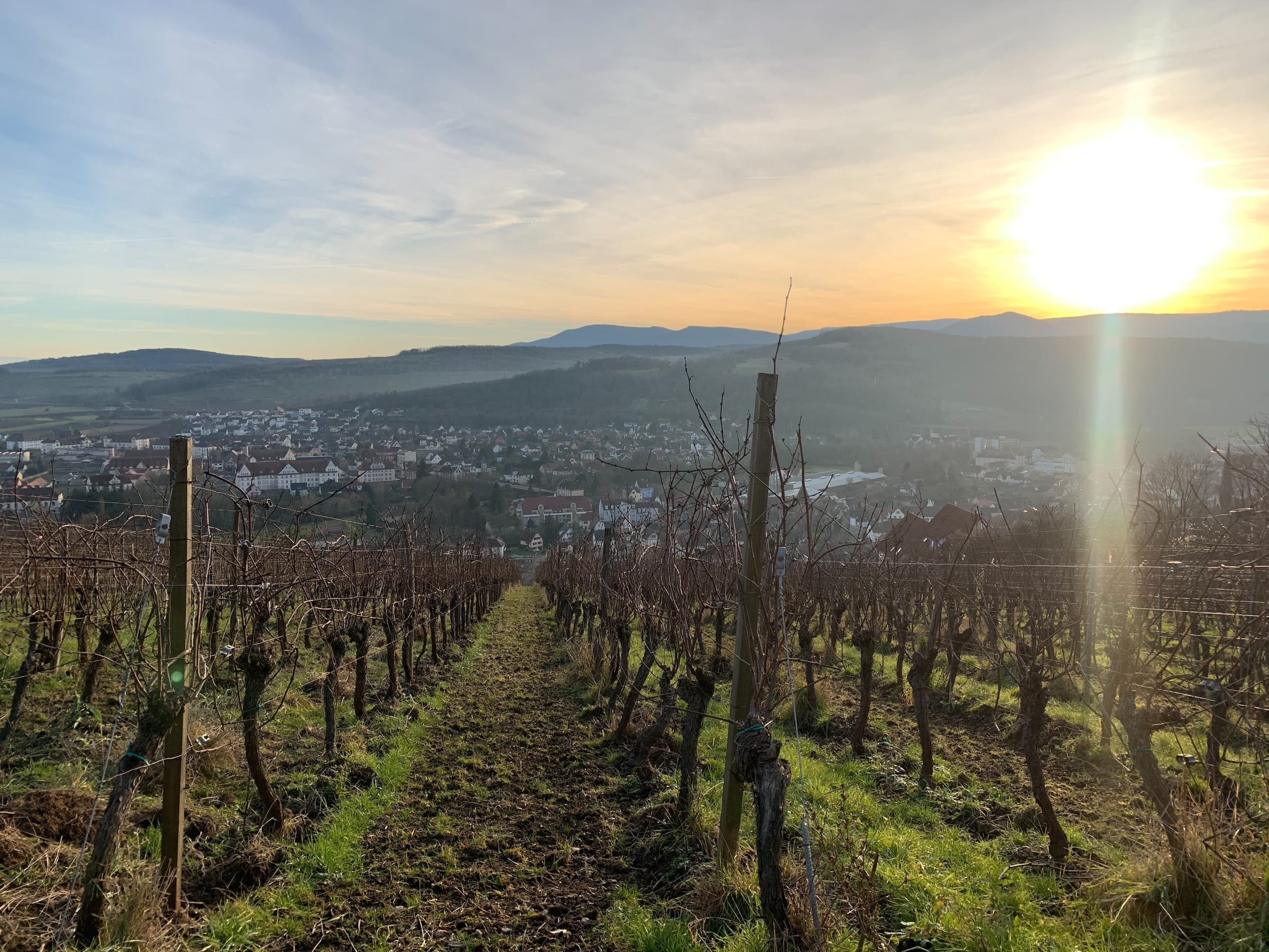 Participez aux rencontres solaires de l&rsquo;Est au Dôme de Mutzig, le mardi 27 janvier 2026